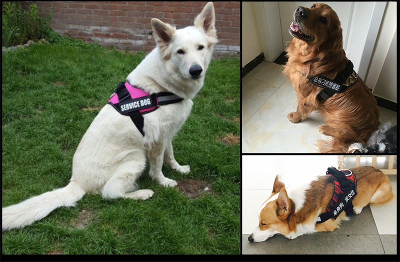HappyPaws™ Reflective Service Dog Harness