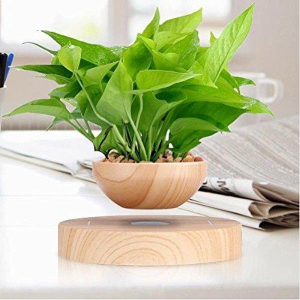 LushGardens™ Floating Plant Pot