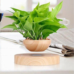 LushGardens™ Floating Plant Pot