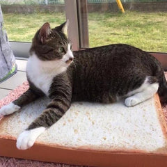 Purrfect™ Toast Bed