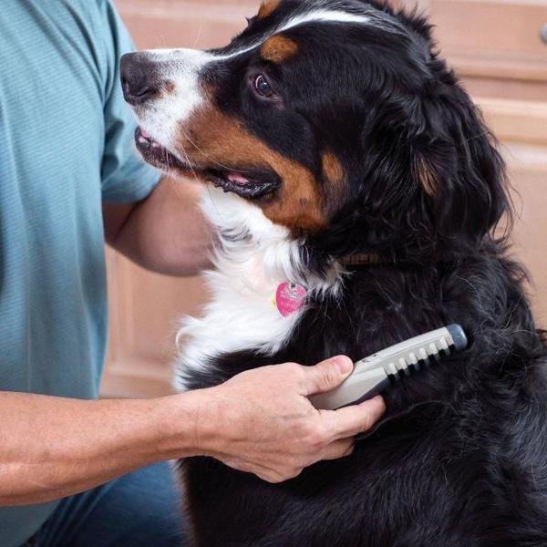 Pet Fur Detangler