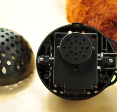 Bouncy Dog & Cat Toy