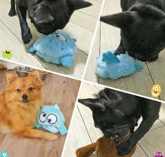 Bouncy Dog & Cat Toy