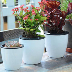 LushGardens™ Self-Watering Pot