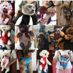 Dog Carrier Frontpack