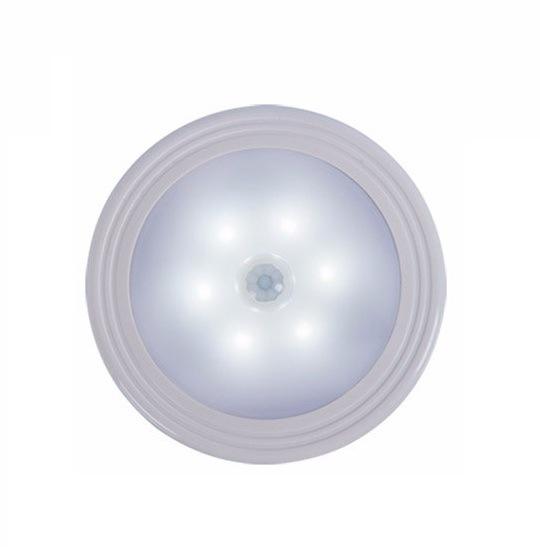 Smart Motion Sensor Light