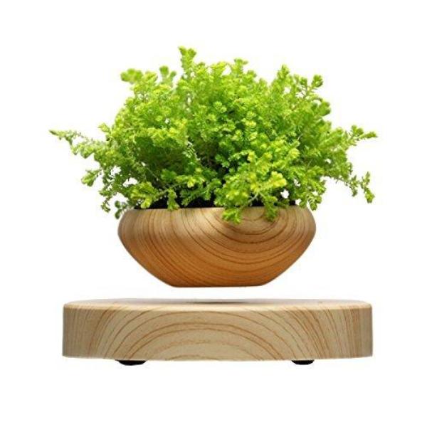 LushGardens™ Floating Plant Pot
