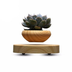 LushGardens™ Floating Plant Pot