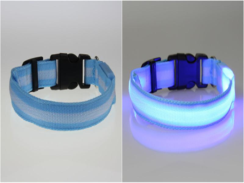 Dog LED Collar