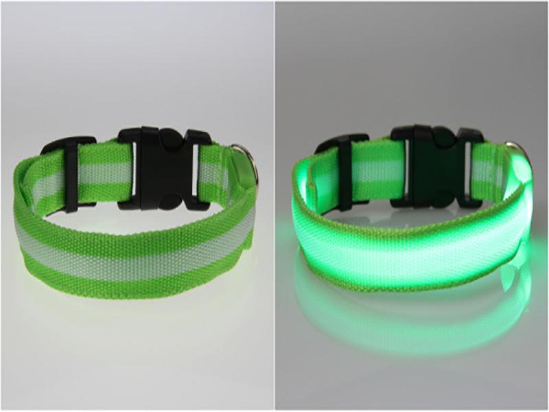 Dog LED Collar