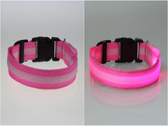 Dog LED Collar