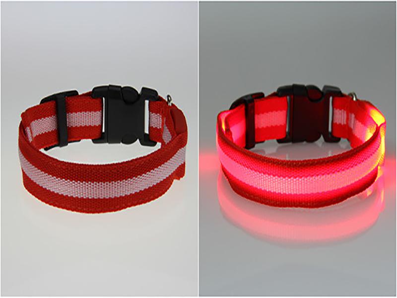 Dog LED Collar