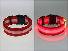 Dog LED Collar