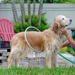 Woof 360° Dog Washer