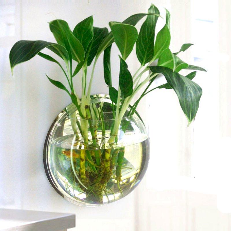 Wall Mount Fish Bowl