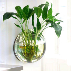 Wall Mount Fish Bowl