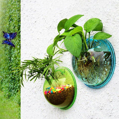 Wall Mount Fish Bowl