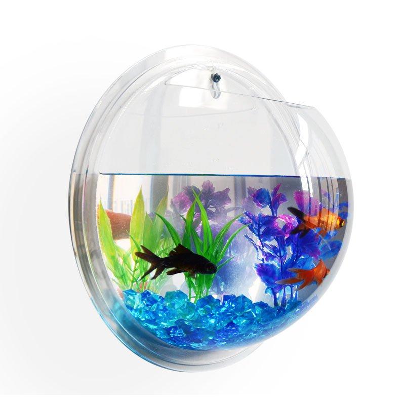 Wall Mount Fish Bowl