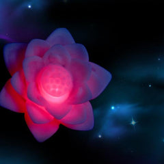 Lotus Flower Night Light