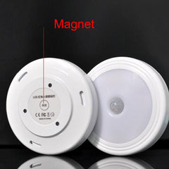 Smart Motion Sensor Light