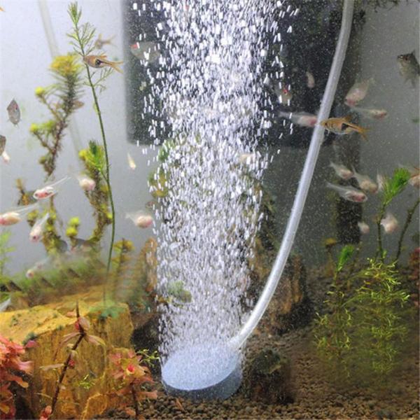 SciFish™ Air Stone Aquarium Bubbler