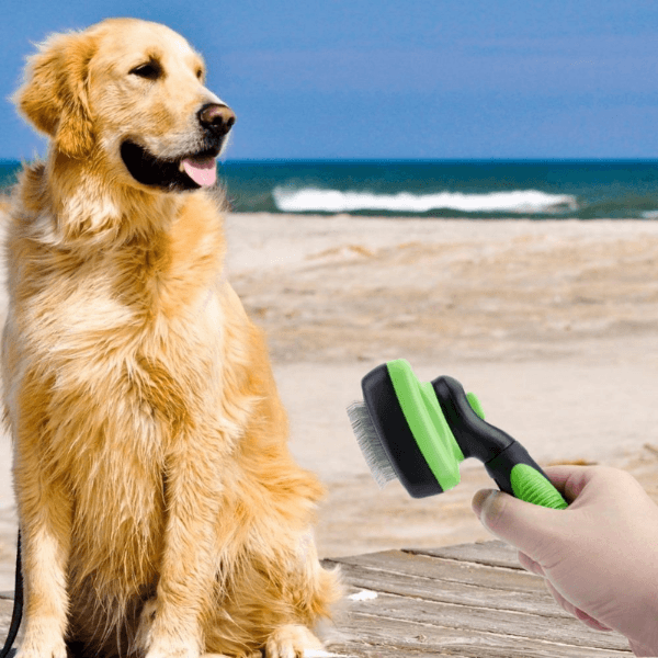 Pet Grooming Brush