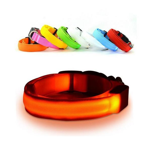 Dog LED Collar