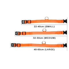 Dog LED Collar