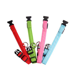 Dog LED Collar