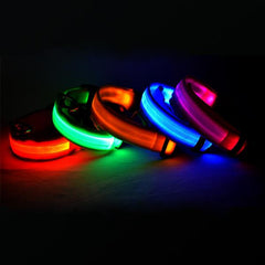 Dog LED Collar