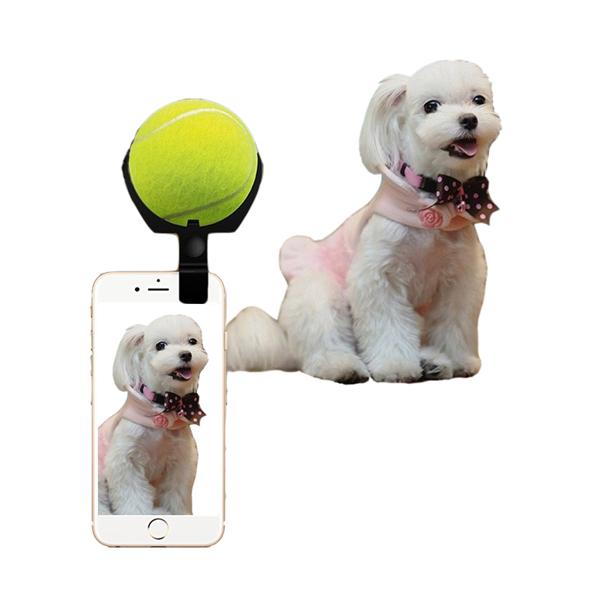 Dog Selfie Stick