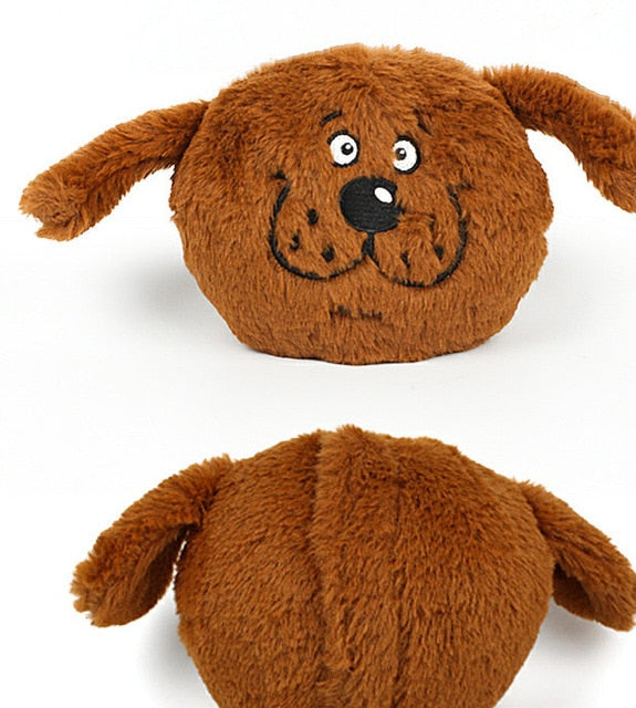 Bouncy Dog & Cat Toy