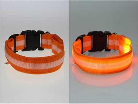 Dog LED Collar
