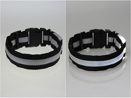 Dog LED Collar