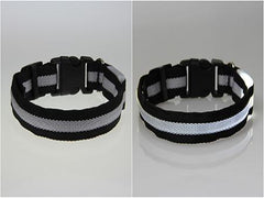 Dog LED Collar