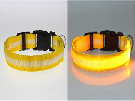 Dog LED Collar