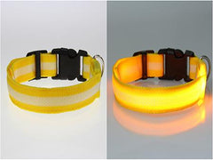 Dog LED Collar
