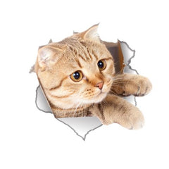 Cat Sticker Decal