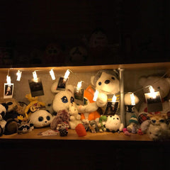 Photo String Lights