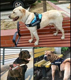 HappyPaws™ Reflective Service Dog Harness