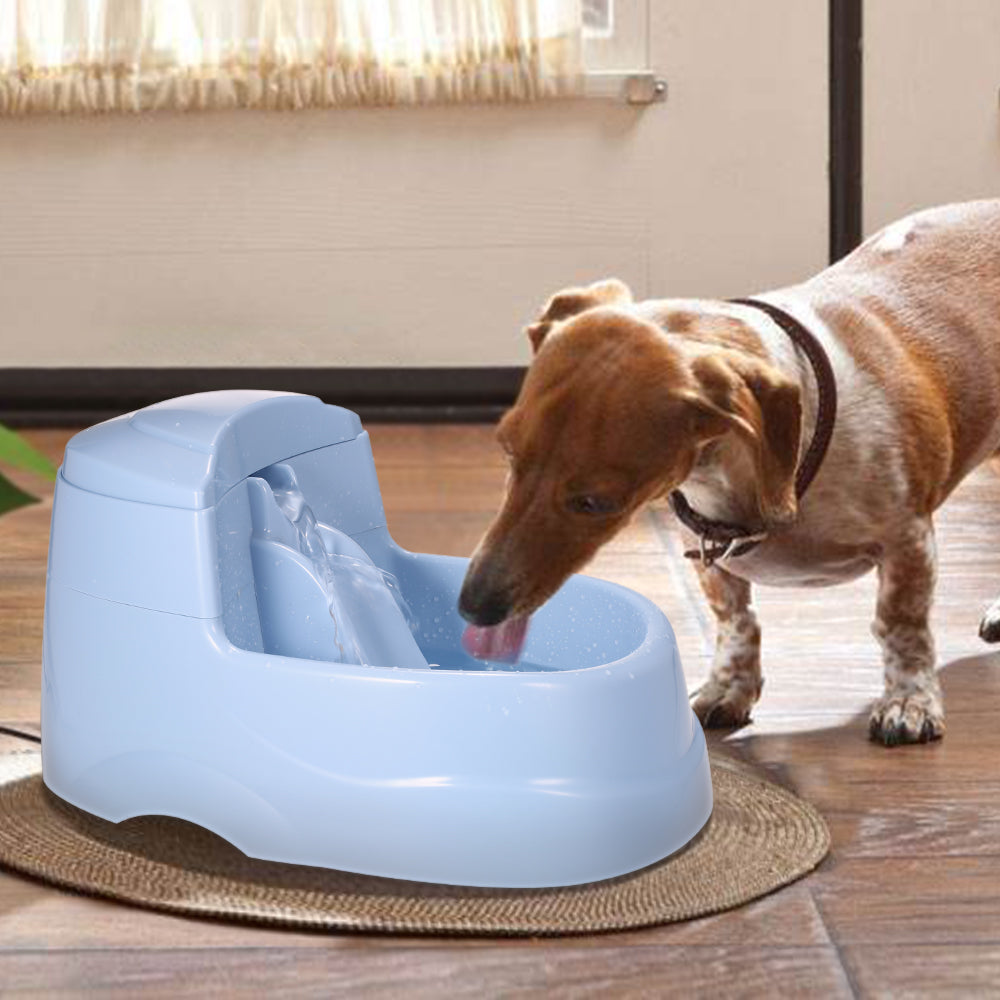 Carbon-filtered Pet Drinking Fountain