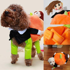 Doggie Pumpkin Jumpsuit