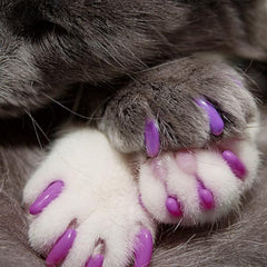 Purrfect™ Claw Caps