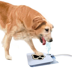 Outdoor Dog Fountain