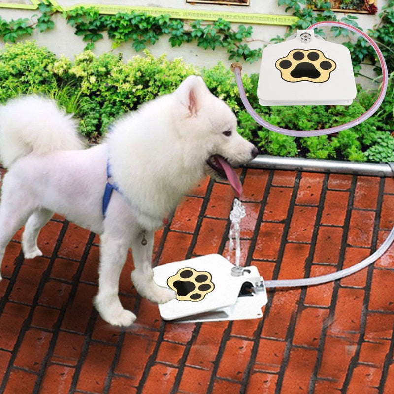 Outdoor Dog Fountain