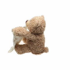 Peek-a-Boo Teddy Bear