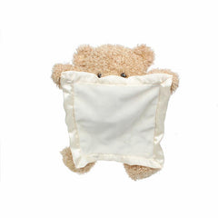 Peek-a-Boo Teddy Bear