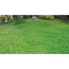 LushGarden™ Liquid Lawn Spray