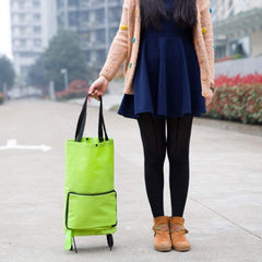 3 in 1 Portable Shopping Bag