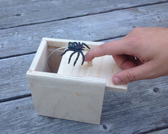Spider Prank Box